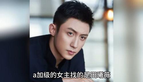 吃瓜八卦娱乐圈小说